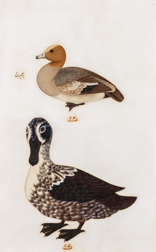 Company School Painting of Two Ducks (with Persian inscription) | MasterArt